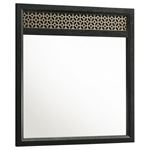 Valencia Black and Light Brown Dresser Mirror 223044 By Coaster