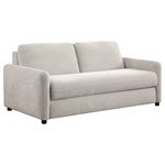 Rylie Beige Queen Sofa Sleeper 360027 By Coaster