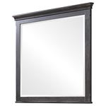 Franco Rectangular Mirror Weathered Sage 205734 By Coaster