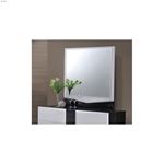 Hudson Modern Mirror by Global Furniture USA