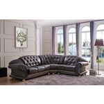 Apolo Brown Leather Sectional