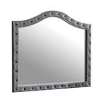 Deanna Grey Velvet Button Tufted Mirror 205104 By Coaster