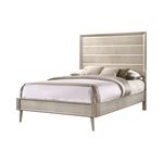 Ramon Metallic Sterling Full Panel Bed 222701F By Coaster