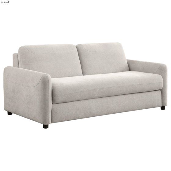 Rylie Beige Queen Sofa Sleeper 360027 By Coaster