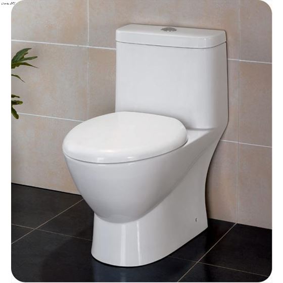 Dual Flush Toilet FTL2346