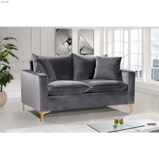 Naomi Grey Velvet Love Seat Naomi_Loveseat_Grey by Meridian Furniture 3